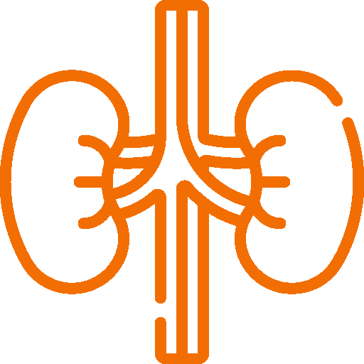 Nephrology_logo