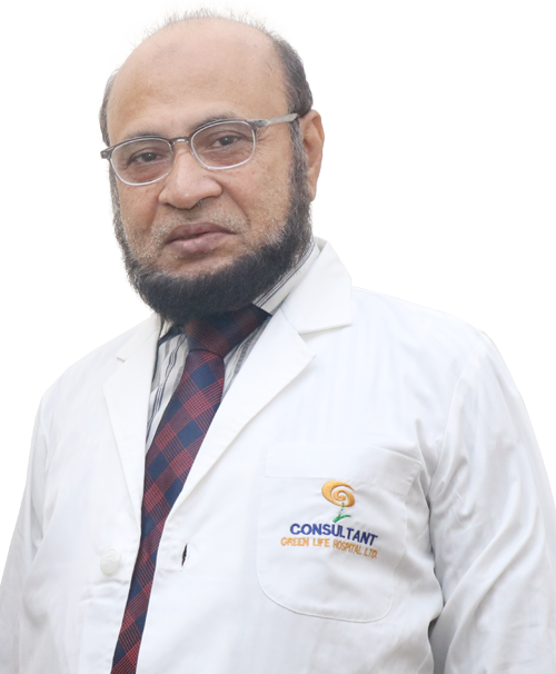 Prof. Md. Shafayet Hasan Majumder image