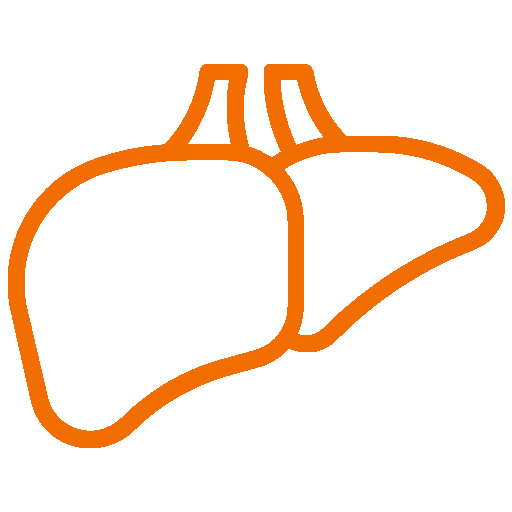Liver & Medicine_logo